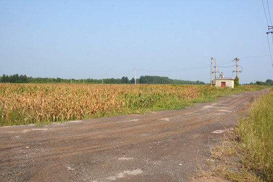 鄉(xiāng)村風景