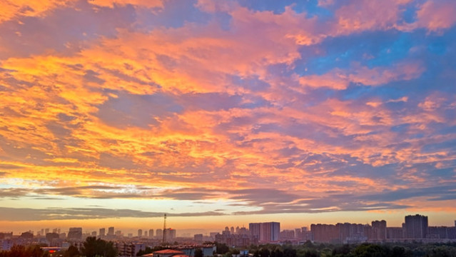 城市園林景觀晚霞