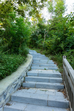 上山臺(tái)階