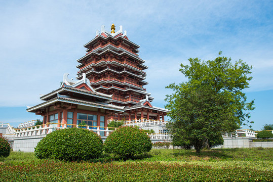 航拍邳州沙溝湖水杉公園