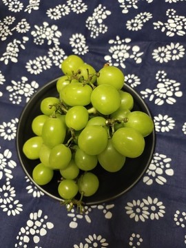 陽光玫瑰葡萄特寫