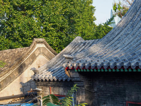青島湛山寺