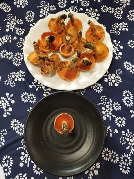 樅菌