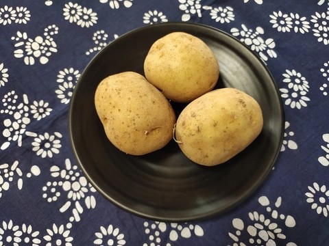 土豆