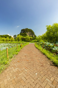 九龍峰林小鎮(zhèn)景區(qū)風(fēng)景