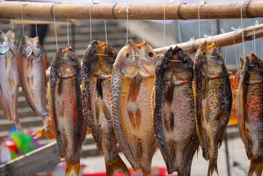 臘魚