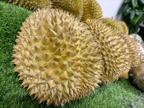 熱帶水果
