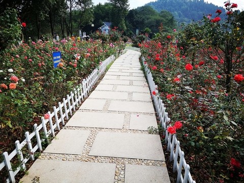 花園小路