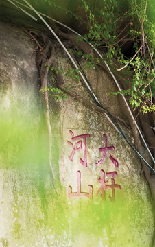 廈門(mén)島南普陀寺