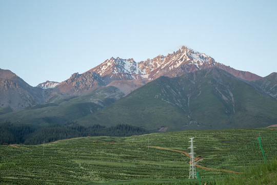 祁連牛心山