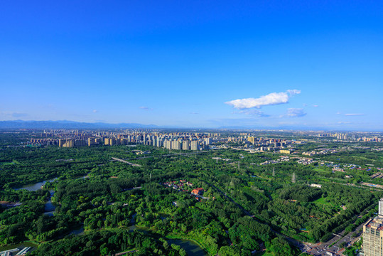 鳥瞰奧林匹克森林公園
