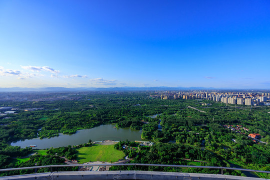 鳥(niǎo)瞰奧林匹克森林公園