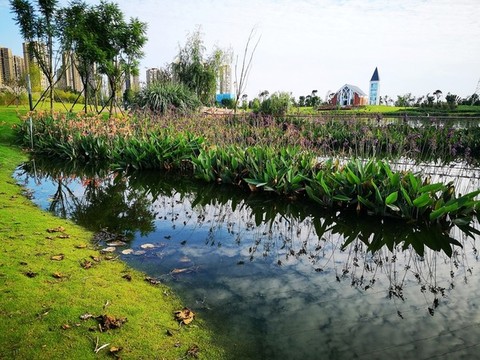 濕地公園
