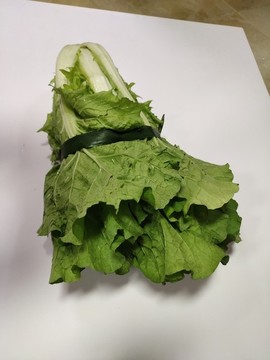 蔬菜