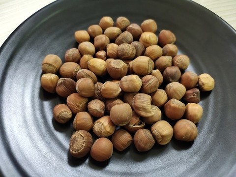 長白山榛子特寫