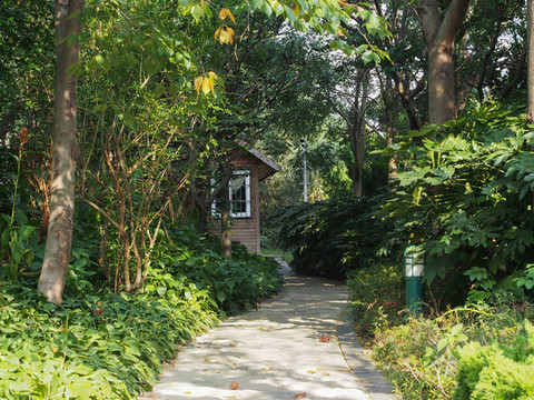 植物園市花園
