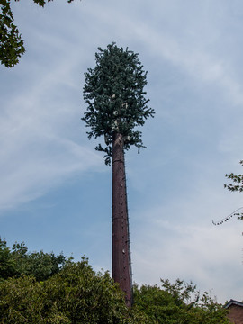 仿松樹手機(jī)信號(hào)塔