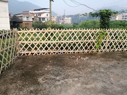 竹籬笆