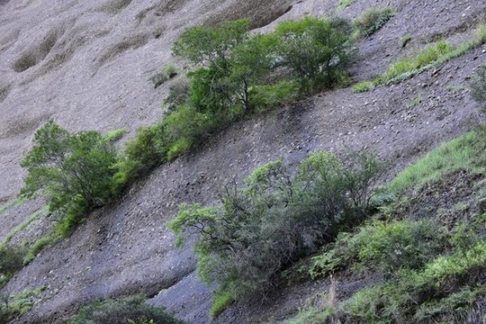懸崖峭壁