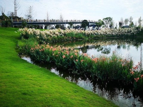 濕地公園