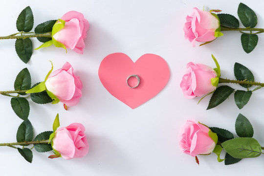 粉色玫瑰花母親節(jié)情人節(jié)婦女節(jié)
