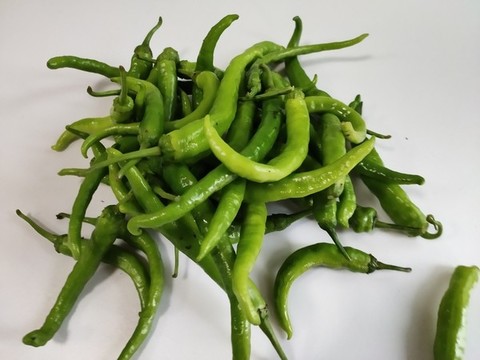 辣椒特寫