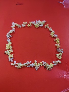 花邊框