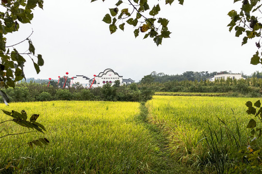 鄉(xiāng)村田園風光