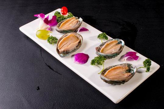 鮑魚(yú)