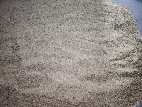 稻子