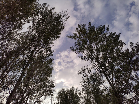 公園秋景