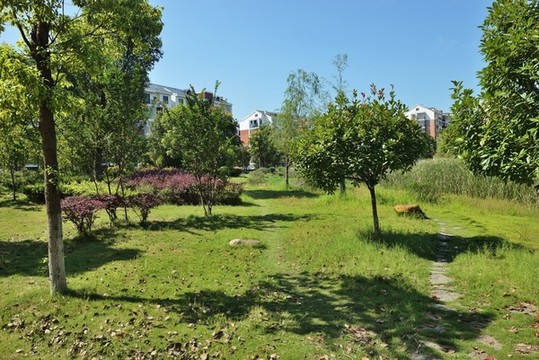 公園綠地