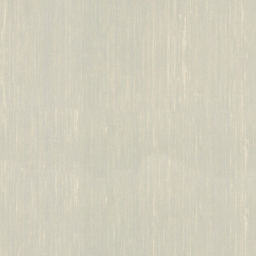 數(shù)碼無紡印花
