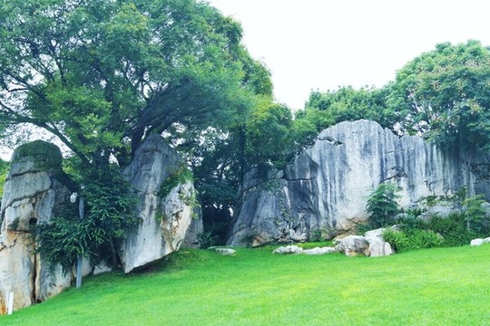云南石林風景