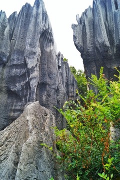 云南石林山峰