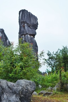 云南石林風(fēng)景