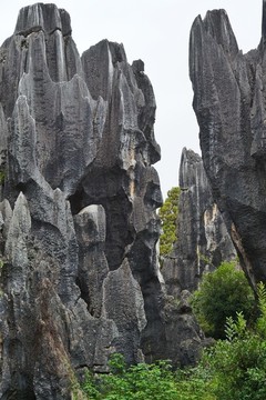 云南石林風(fēng)景