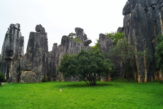云南小石林風(fēng)景