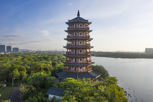 東莞華陽湖濕地公園自然風(fēng)光