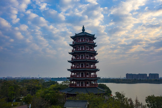 東莞華陽湖濕地公園自然風(fēng)光