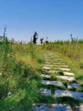 石板路