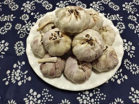 大蒜果