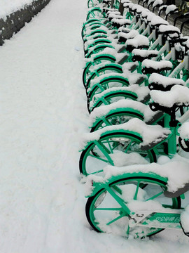 雪后的共享單車