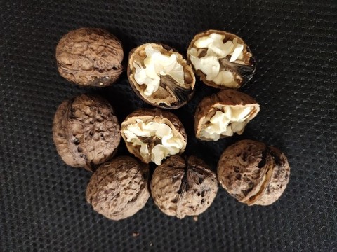 生核桃