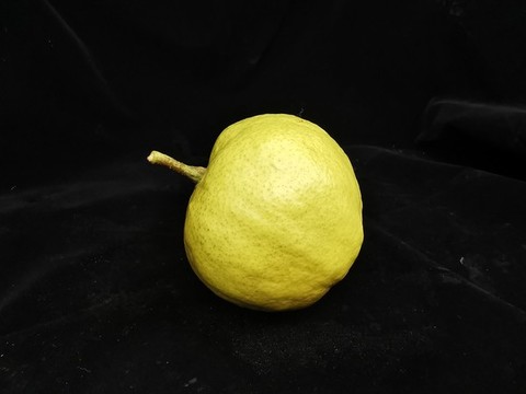 梨
