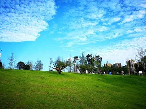 城市綠地