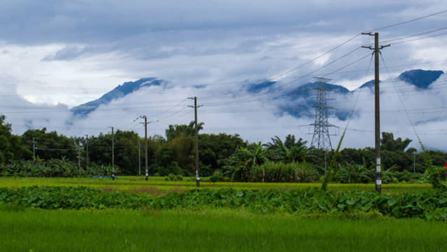 田園風(fēng)光