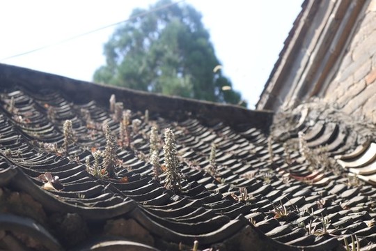 瓦房