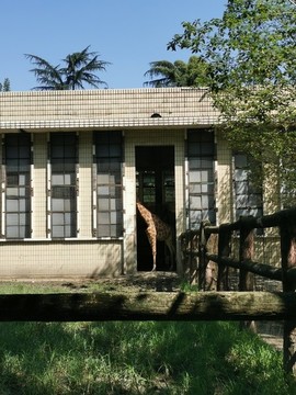 動(dòng)物園一角