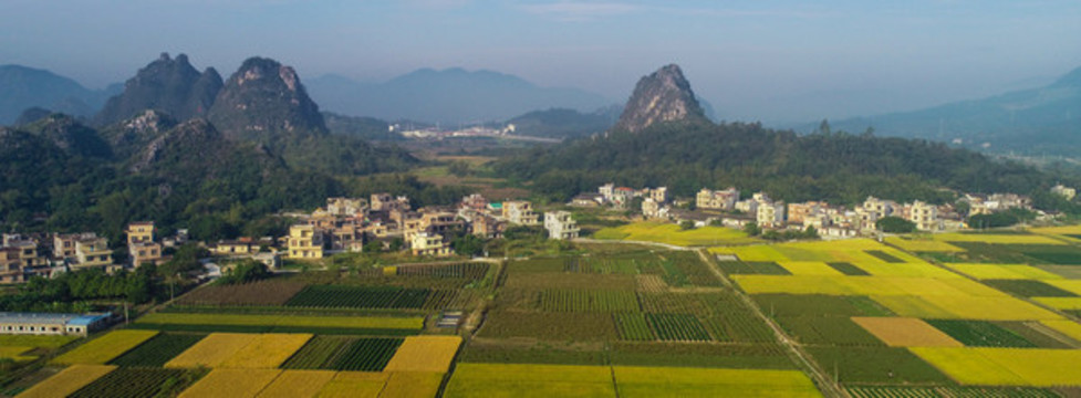 田園風(fēng)光